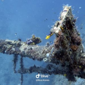 plongée, bayahibe, godivebayahibe, diving, excursion, cavern diver